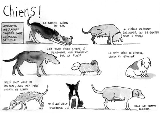 Chiens ! 1