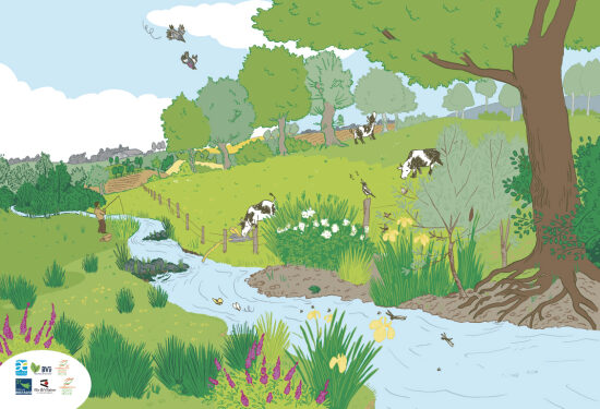 ILLUSTRATIONS DIDACTIQUES