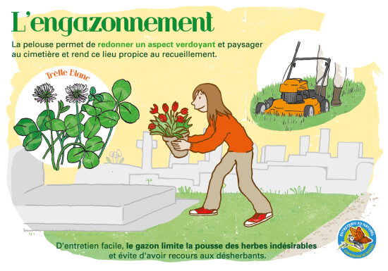 L'engazonnement.jpg