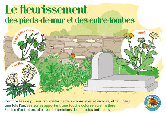 ILLUSTRATIONS DIDACTIQUES