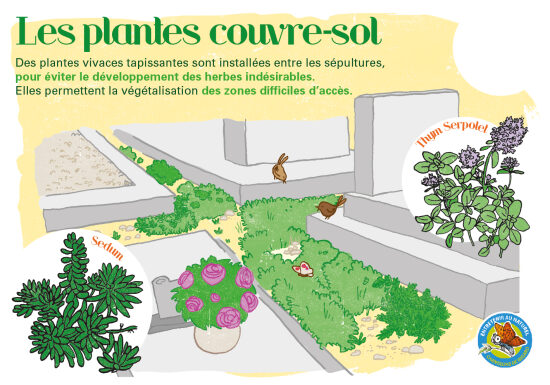 ILLUSTRATIONS DIDACTIQUES